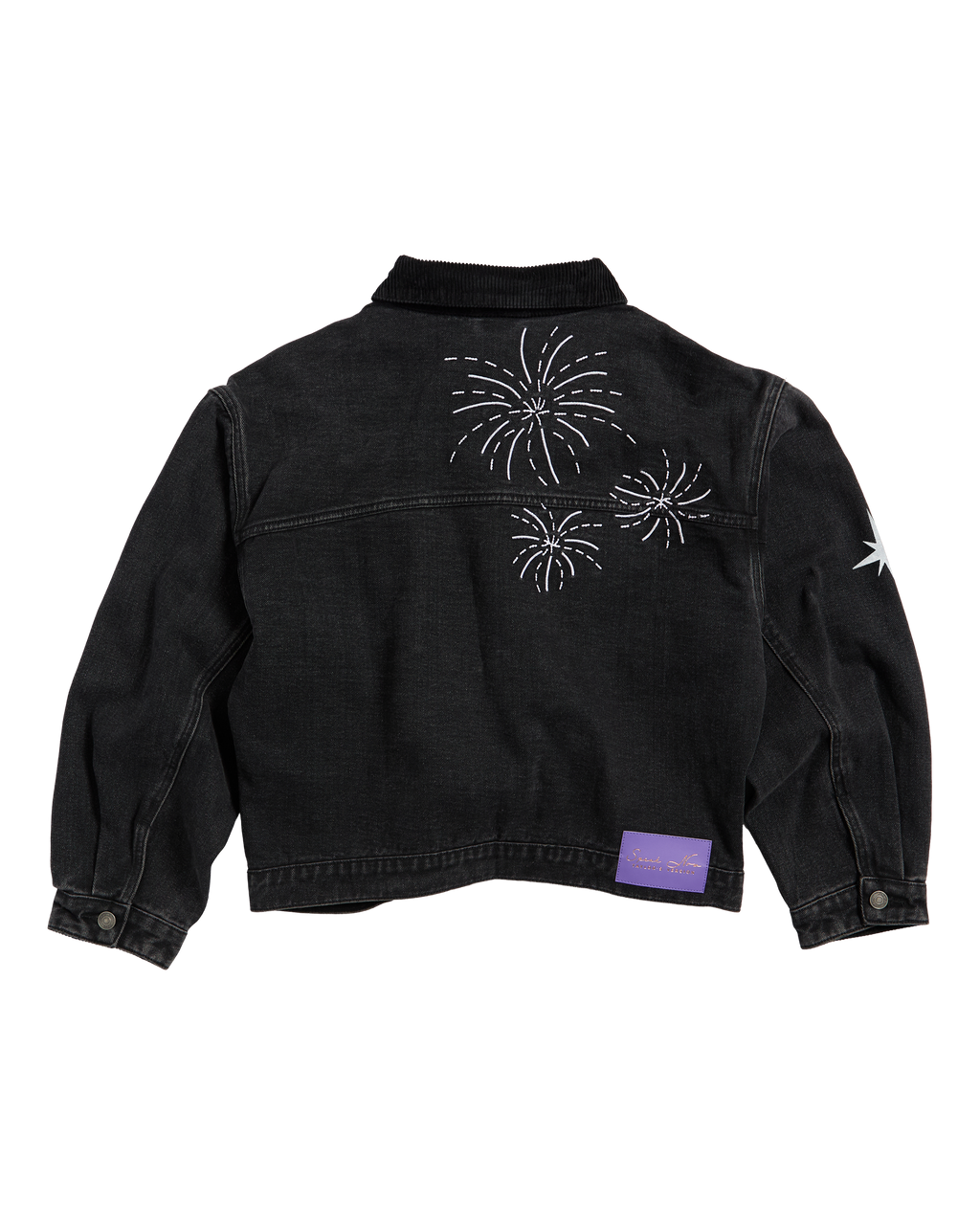 Speak Now (Taylor's Version) Jacket